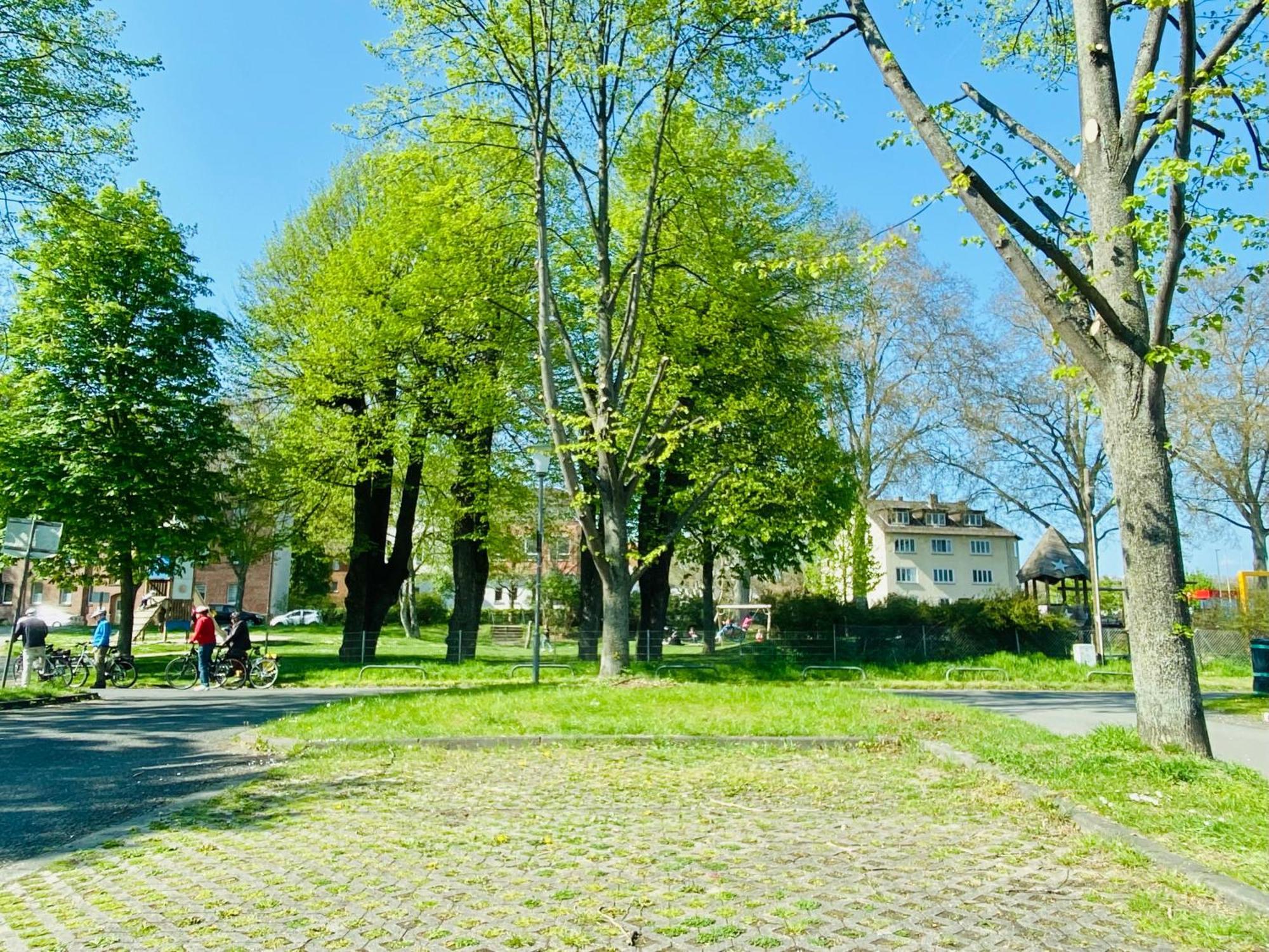 Kassel: Alles, Was Du Brauchst! Exterior photo
